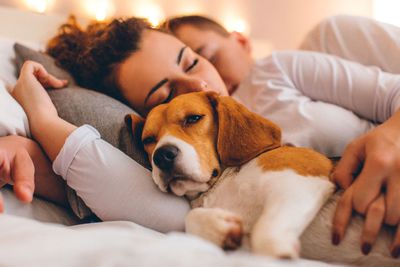 Your bedmates (human or animal) keeps you awake